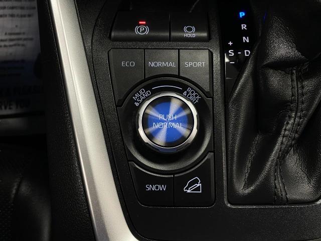 2023 Toyota RAV4 Vehicle Photo in Appleton, WI 54913