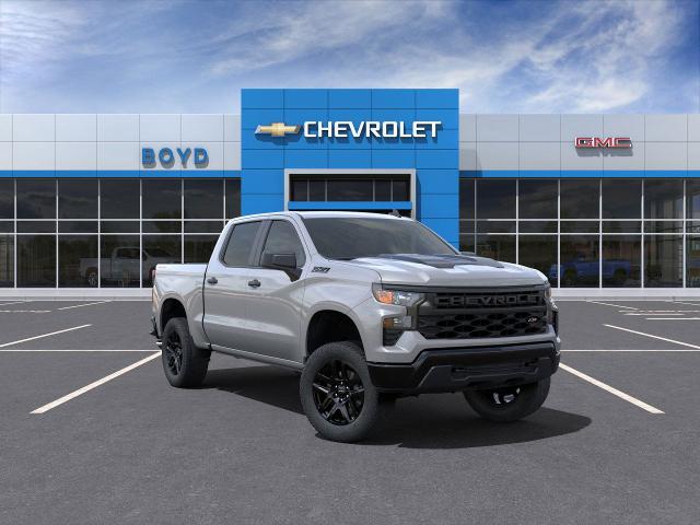 2025 Chevrolet Silverado 1500 Vehicle Photo in EMPORIA, VA 23847-1235