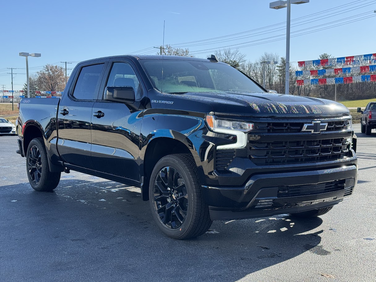 2025 Chevrolet Silverado 1500 Vehicle Photo in BOONVILLE, IN 47601-9633