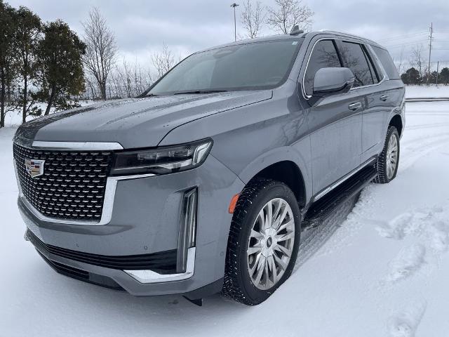 2021 Cadillac Escalade Vehicle Photo in BEACHWOOD, OH 44122-4298