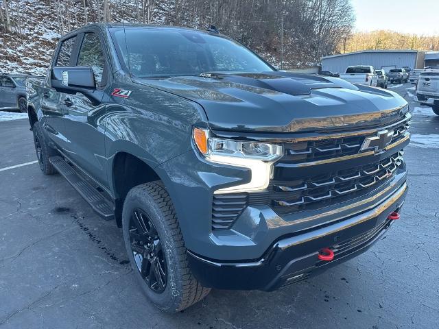 2025 Chevrolet Silverado 1500 Vehicle Photo in MARION, NC 28752-6372