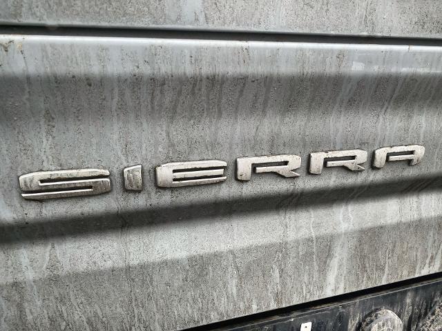 2024 GMC Sierra 1500 Vehicle Photo in WILLIAMSVILLE, NY 14221-2883