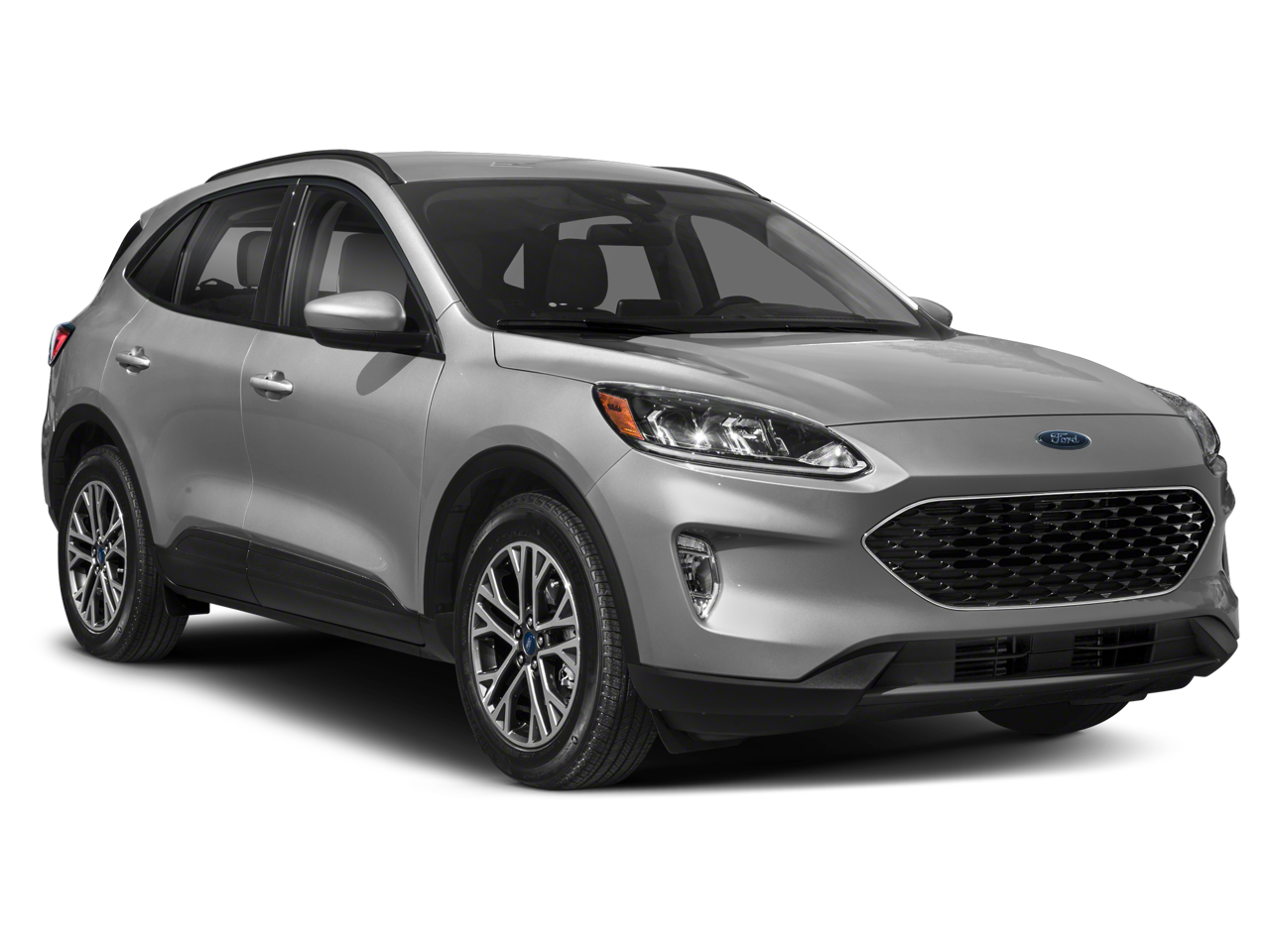 2022 Ford Escape Vehicle Photo in Green Bay, WI 54304