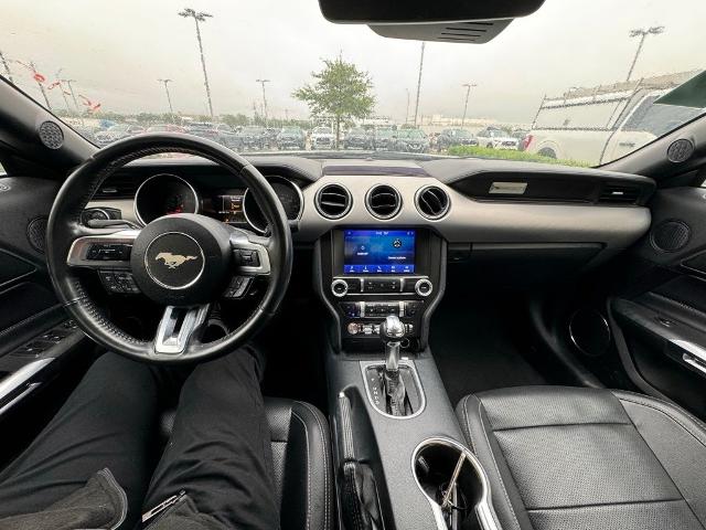 2023 Ford Mustang Vehicle Photo in San Antonio, TX 78230