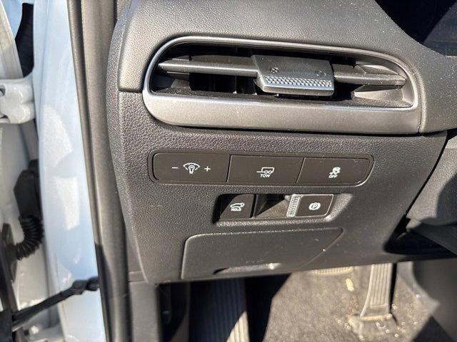 2024 Hyundai PALISADE Vehicle Photo in Philadelphia, PA 19116