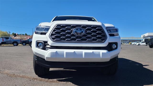 2023 Toyota Tacoma 4WD Vehicle Photo in FLAGSTAFF, AZ 86001-6214