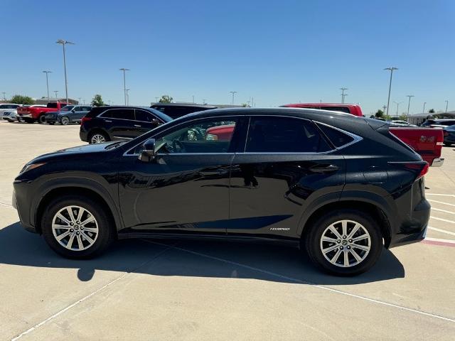 2020 Lexus NX 300h Vehicle Photo in San Antonio, TX 78230