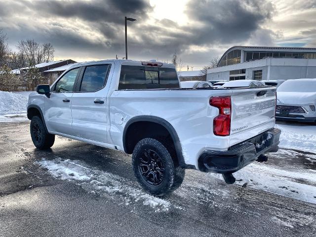 2022 Chevrolet Silverado 1500 Vehicle Photo in WILLIAMSVILLE, NY 14221-2883