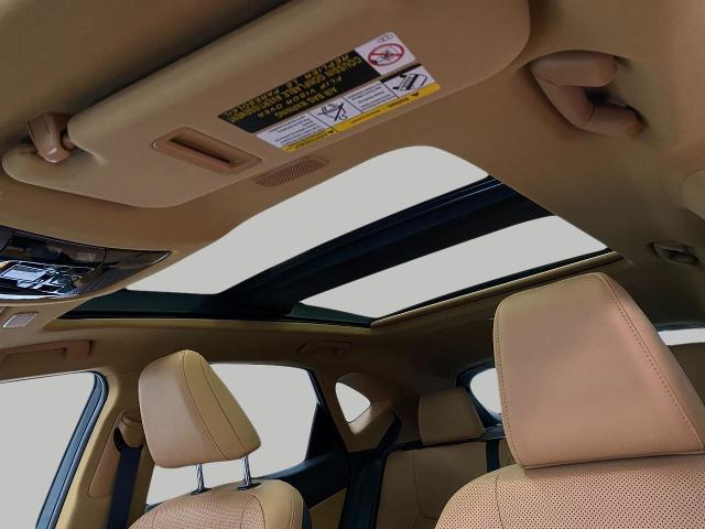 2025 Lexus NX 350 Vehicle Photo in Appleton, WI 54913