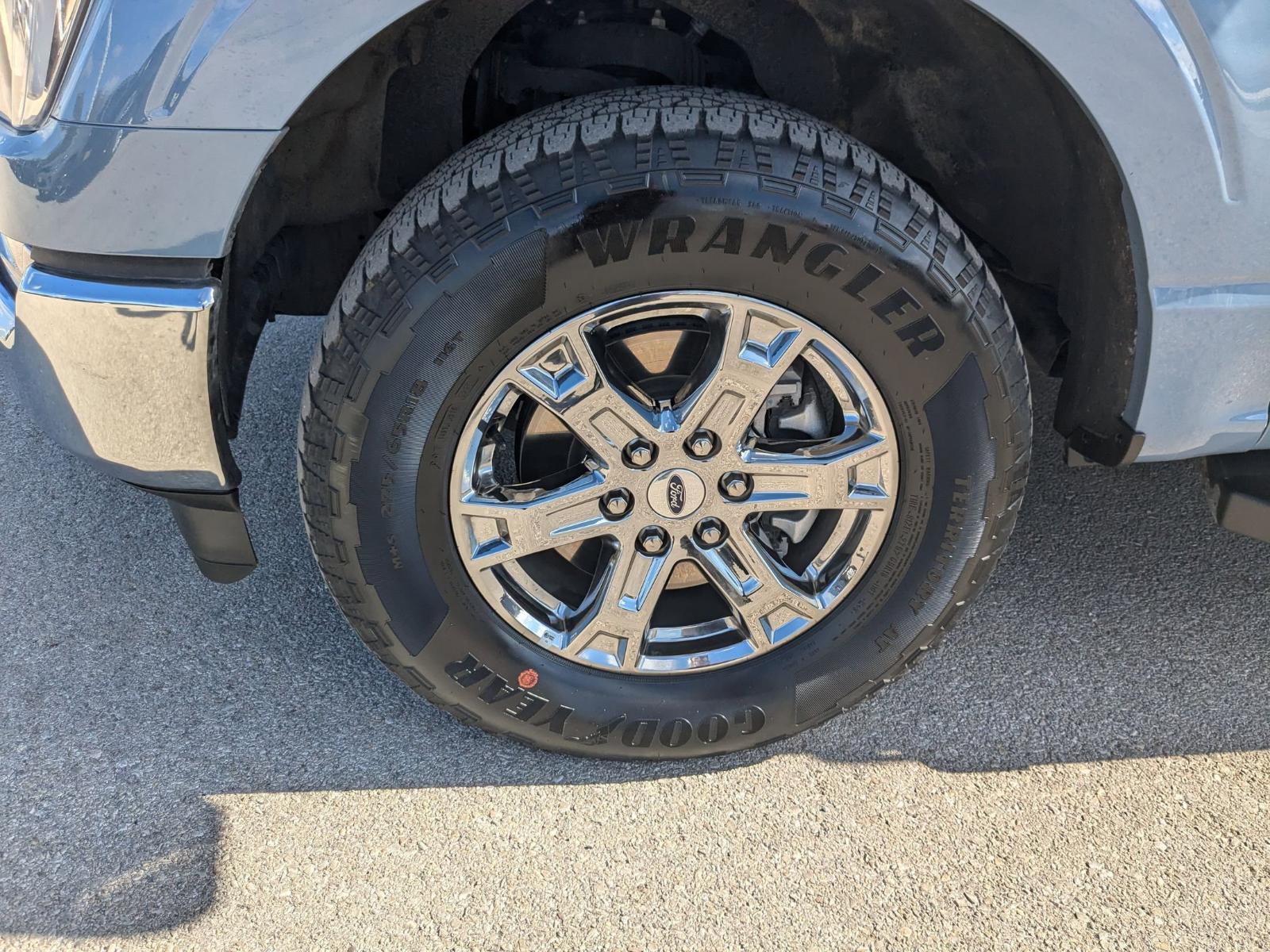 2023 Ford F-150 Vehicle Photo in Seguin, TX 78155