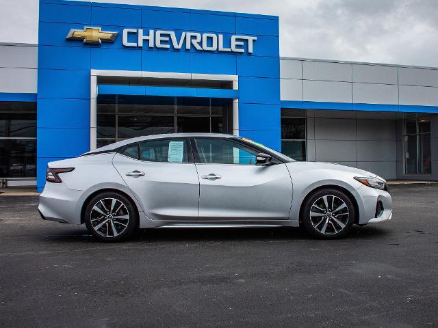 2023 Nissan Maxima Vehicle Photo in MADISON, IN 47250-1611