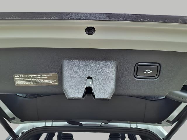 2024 Kia Sportage Vehicle Photo in Appleton, WI 54914