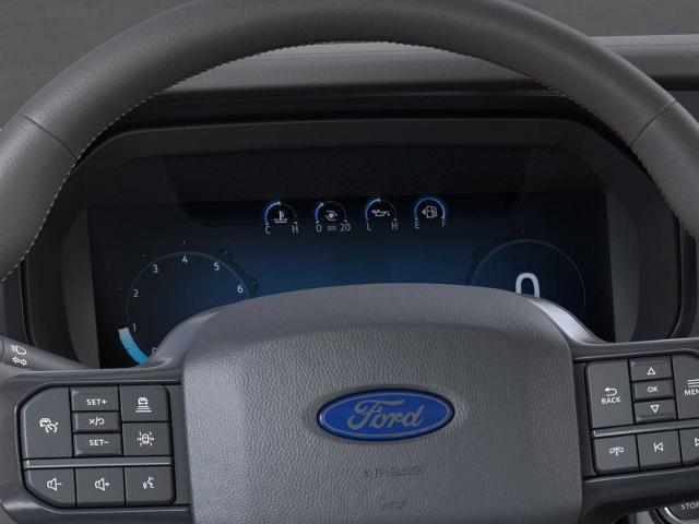 2025 Ford F-150 Vehicle Photo in Weatherford, TX 76087