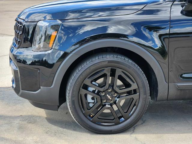 2024 Kia Telluride Vehicle Photo in DENTON, TX 76210-9321