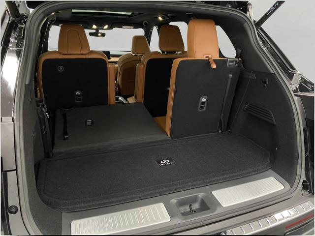 2025 INFINITI QX60 Vehicle Photo in Appleton, WI 54913