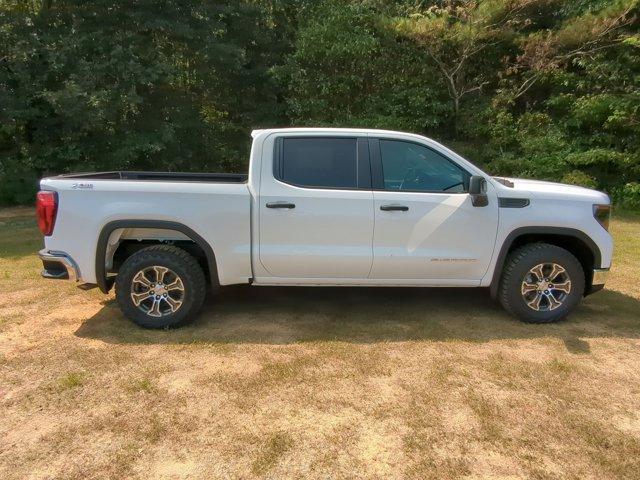 2024 GMC Sierra 1500 Vehicle Photo in ALBERTVILLE, AL 35950-0246