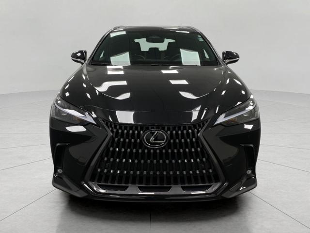 2024 Lexus NX 250 Vehicle Photo in Appleton, WI 54913