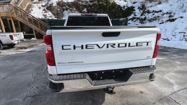 2019 Chevrolet Silverado 1500 Vehicle Photo in PITTSBURGH, PA 15226-1209