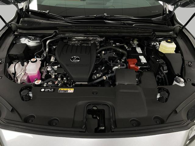 2025 Lexus RX 350 Vehicle Photo in Appleton, WI 54913