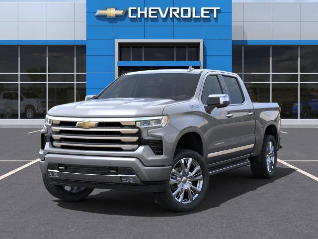 2025 Chevrolet Silverado 1500 Vehicle Photo in HOUSTON, TX 77034-5009