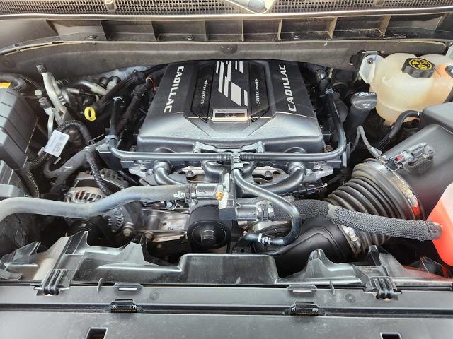 2023 Cadillac Escalade Vehicle Photo in DENTON, TX 76210-9321