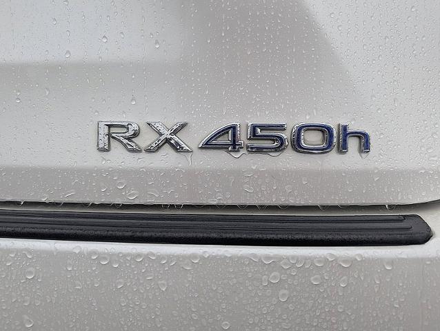 2020 Lexus RX Vehicle Photo in HARRISBURG, PA 17111-1033