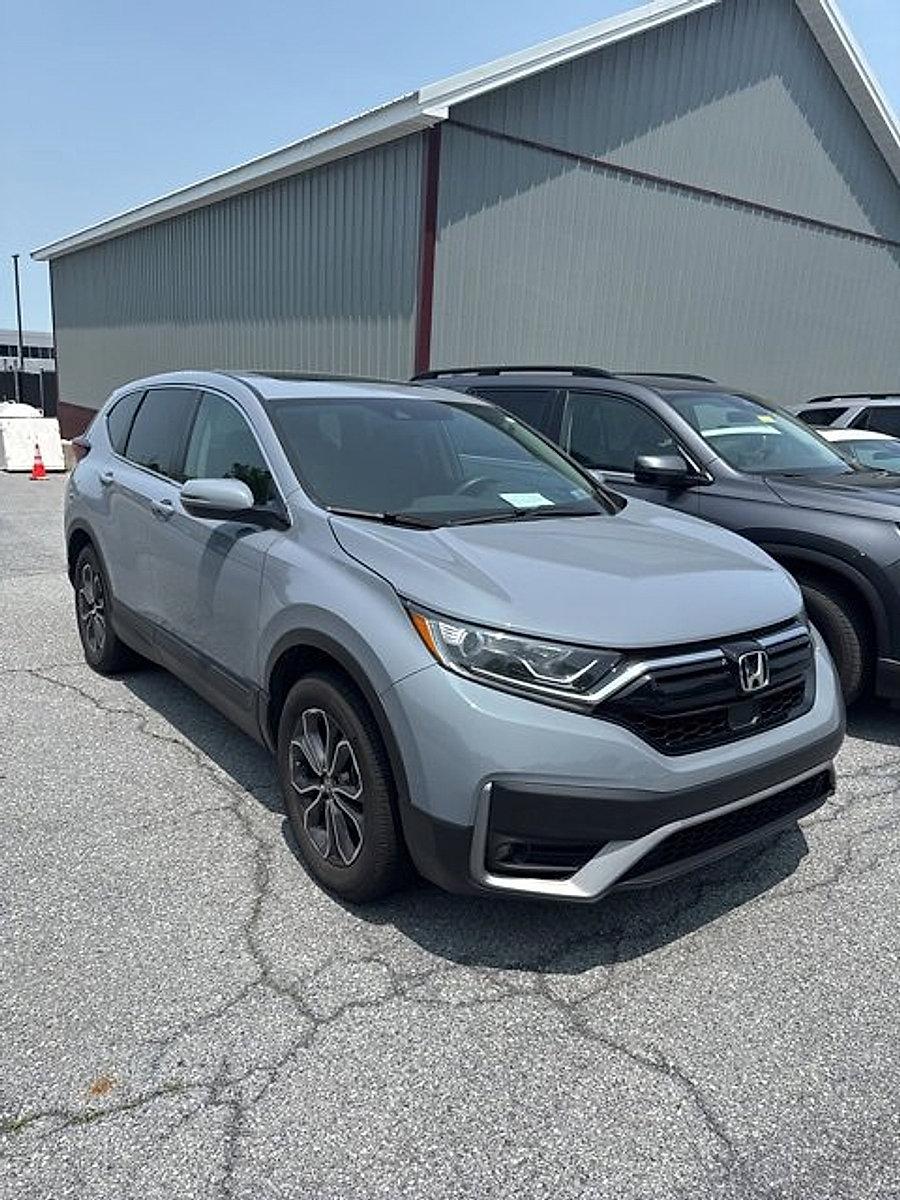2022 Honda CR-V Vehicle Photo in Harrisburg, PA 17111