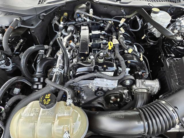 2022 Ford Mustang Vehicle Photo in DENTON, TX 76210-9321