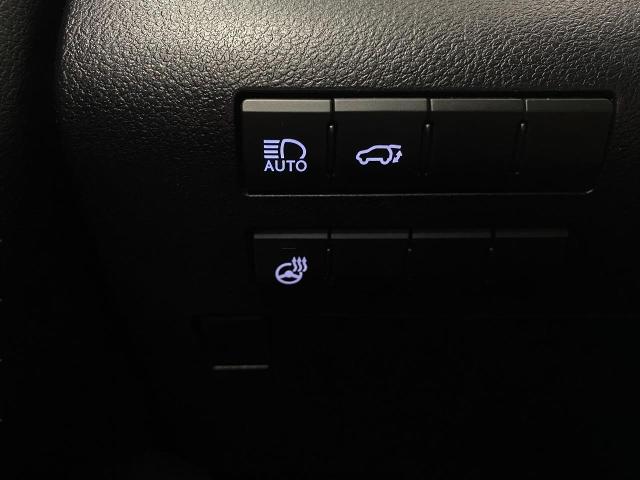 2017 Lexus RX Vehicle Photo in APPLETON, WI 54914-4656