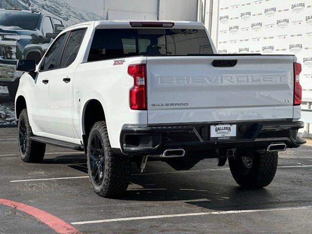 2024 Chevrolet Silverado 1500 Vehicle Photo in DALLAS, TX 75244-5909