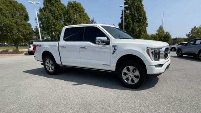 2021 Ford F-150 Vehicle Photo in BENTONVILLE, AR 72712-4322