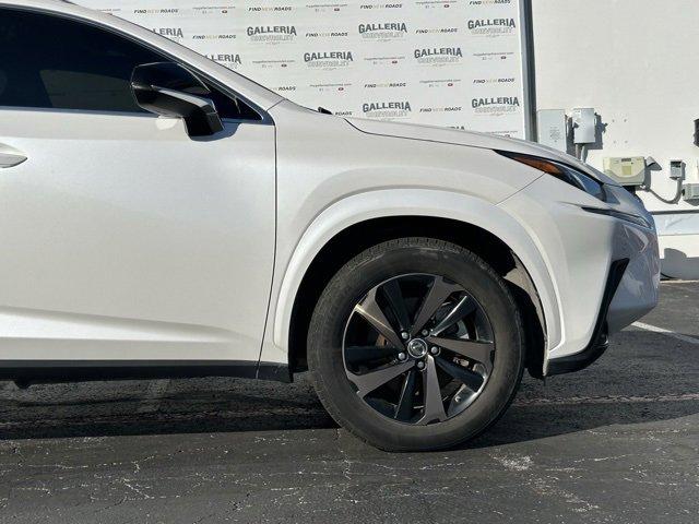 2020 Lexus NX Vehicle Photo in DALLAS, TX 75244-5909