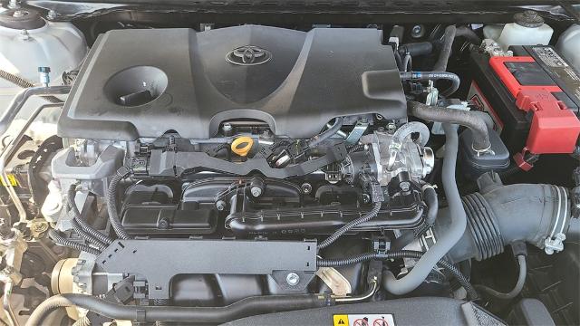 2022 Toyota Camry Vehicle Photo in FLAGSTAFF, AZ 86001-6214