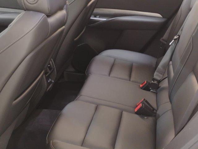 2025 Cadillac XT4 Vehicle Photo in PINEVILLE, NC 28134-8495