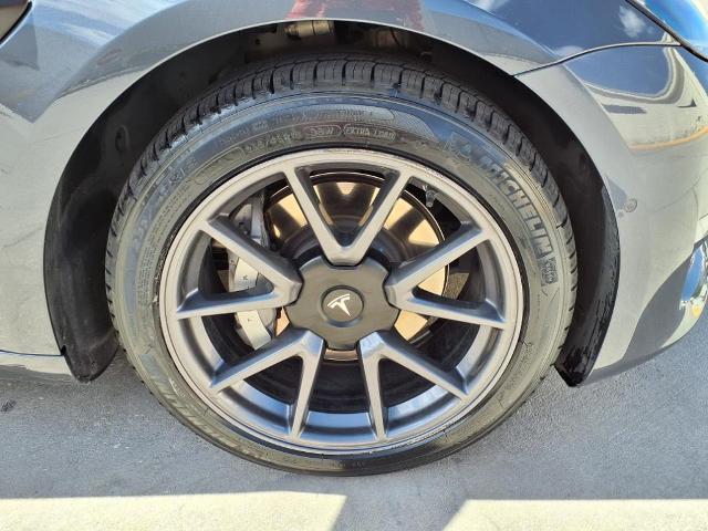 2021 Tesla Model 3 Vehicle Photo in TAMPA, FL 33612-3404