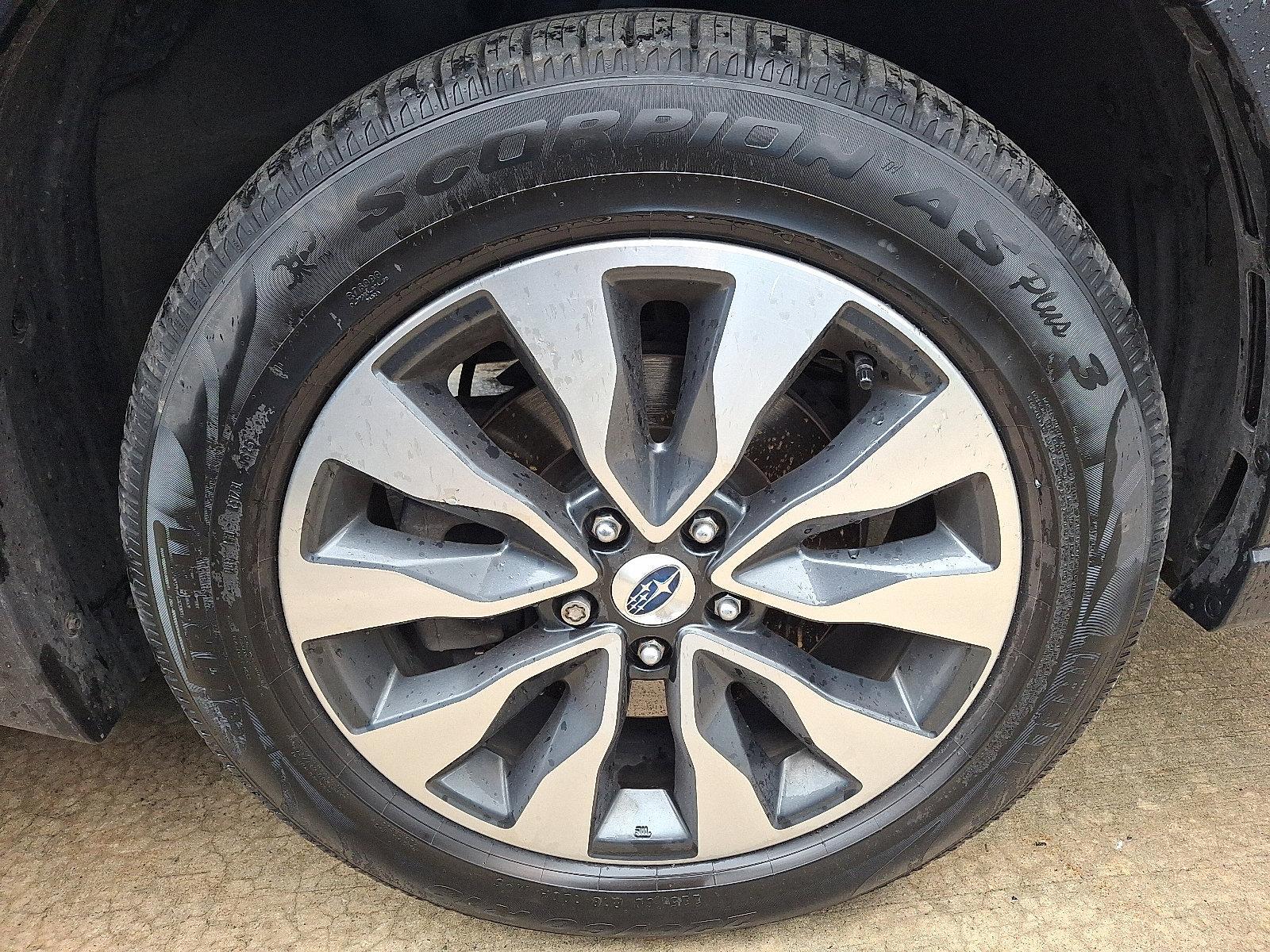2023 Subaru Outback Vehicle Photo in Easton, PA 18045