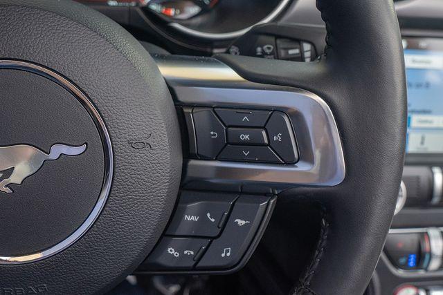 2019 Ford Mustang Vehicle Photo in DANBURY, CT 06810-5034
