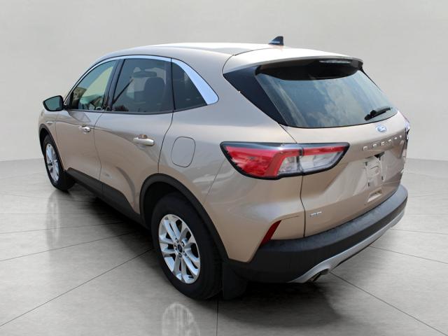 2020 Ford Escape Vehicle Photo in Green Bay, WI 54304