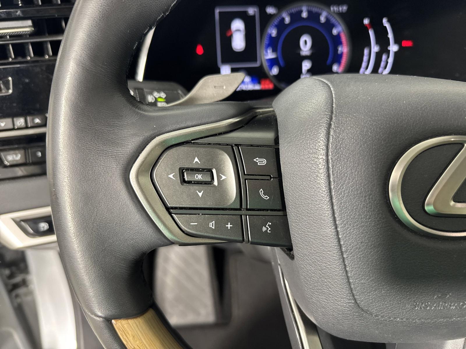 2023 Lexus RX Vehicle Photo in GEORGETOWN, TX 78626-7508