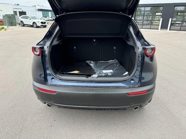 2025 Mazda CX-30 Vehicle Photo in Green Bay, WI 54304