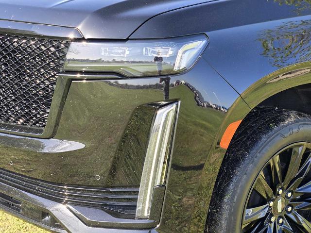 2022 Cadillac Escalade Vehicle Photo in DENTON, TX 76210-9321