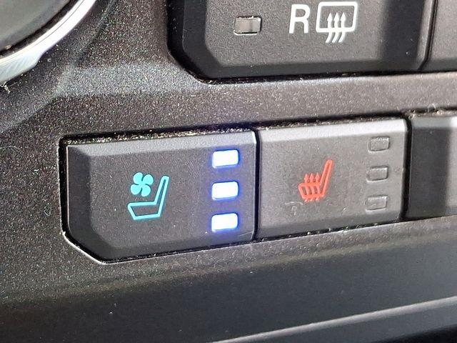 2020 Ford F-150 Vehicle Photo in DANBURY, CT 06810-5034