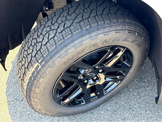 2025 Chevrolet Silverado 1500 Vehicle Photo in BEAUFORT, SC 29906-4218