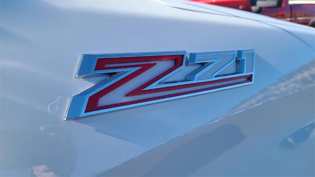 2025 Chevrolet Silverado 1500 Vehicle Photo in FLAGSTAFF, AZ 86001-6214