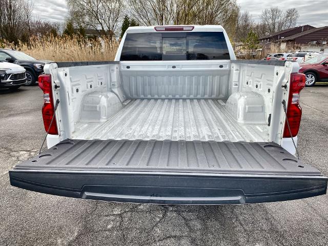 2020 Chevrolet Silverado 1500 Vehicle Photo in WILLIAMSVILLE, NY 14221-2883