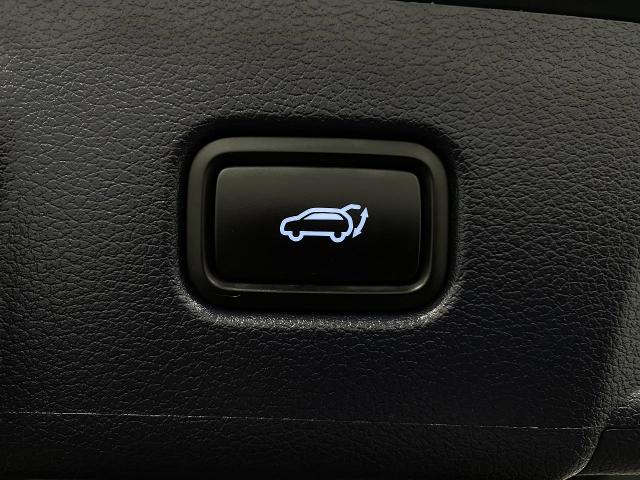 2024 Hyundai PALISADE Vehicle Photo in Appleton, WI 54913