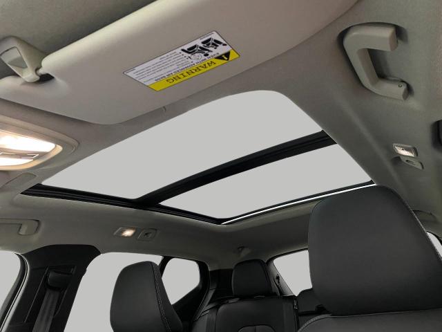 2025 Volvo XC40 Vehicle Photo in Appleton, WI 54913