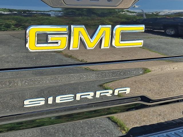 2019 GMC Sierra 1500 Vehicle Photo in HARRISBURG, PA 17111-1033