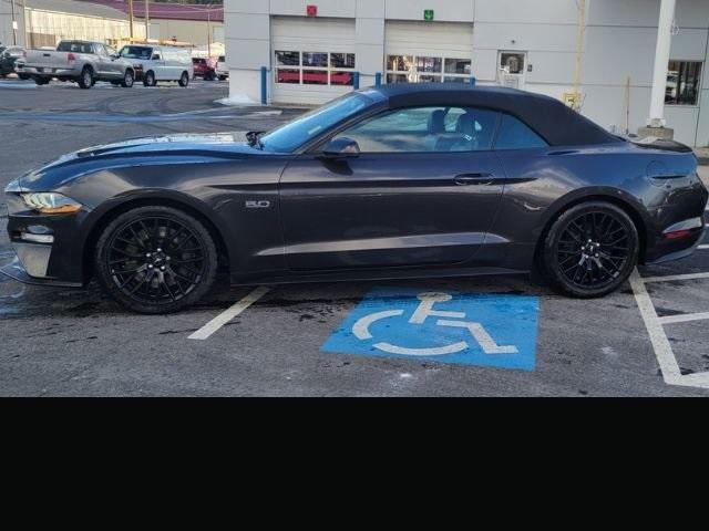 2022 Ford Mustang Vehicle Photo in Gardner, MA 01440