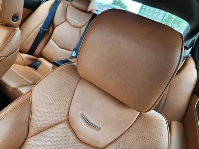 2024 Cadillac CT5 Vehicle Photo in HOUSTON, TX 77079